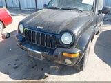 Jeep Liberty Limited Edition 1J8GL58K92W215832 снимка
