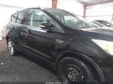 Ford Escape Titanium 1FMCU0JD7HUA18532 снимка