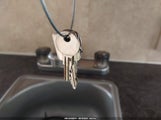 Miniaturka zdjęcia 11