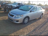 Toyota Corolla Le 2T1BU4EE8AC325589 снимка