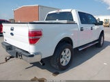 Ford F-150 Xlt 1FTFW1ET8DKE22366 снимка