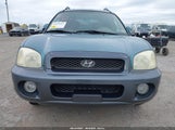 Hyundai Santa Fe Gls/Lx KM8SC73D43U438875 снимка