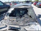 BMW 328I xDrive WBA3B3C52FF548097 снимка
