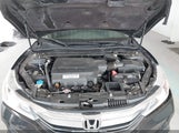 Honda Accord Ex-L V-6 1HGCR3F86GA033348 photo