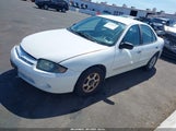 Chevrolet Cavalier 1G1JC52F437284828 снимка
