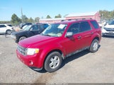 Ford Escape Xlt 1FMCU9D75AKB50541 снимка