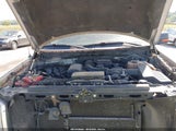 Ford F-150 Fx4/Harley-Davidson/King Ranch/Lariat/Platinum/Xl/Xlt 1FTFW1EV6AFC62753 photo