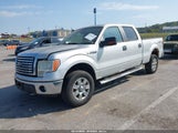 Ford F-150 Fx4/Harley-Davidson/King Ranch/Lariat/Platinum/Xl/Xlt 1FTFW1EV6AFC62753 photo