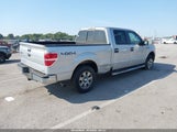 Ford F-150 Fx4/Harley-Davidson/King Ranch/Lariat/Platinum/Xl/Xlt 1FTFW1EV6AFC62753 photo