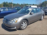 Nissan Maxima 3.5 Sl 1N4BA41E25C851820 снимка