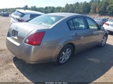 Nissan Maxima 3.5 Sl 1N4BA41E25C851820 снимка