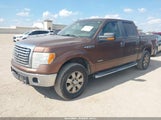 Ford F-150 Xlt 1FTFW1ET7BFB09959 снимка