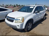 Chevrolet Equinox Ls 2CNDL13F966180041 снимка