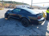 Ford Shelby Gt 1ZVHT88S175369782 снимка