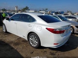Lexus Es 300H JTHBW1GG7E2075076 photo