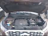 Hyundai Palisade Limited KM8R54HE5MU285319 photo