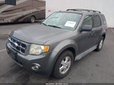 Ford Escape Xlt 1FMCU03749KC99113 снимка