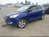 Miniaturka zdjęcia 2