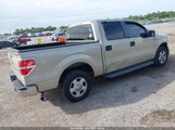 Ford F-150 Fx2 Sport/Harley-Davidson/King Ranch/Lariat/Platinum/Xl/Xlt 1FTFW1CV3AKB68940 снимка