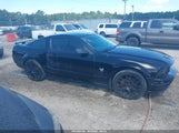 Ford Mustang Gt/Gt Premium 1ZVHT82H895123957 photo