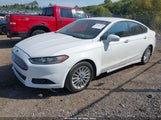Ford Fusion Hybrid Se 3FA6P0LU8GR404264 photo