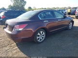 Honda Accord 3.5 Ex-L 5KBCP3F84AB006895 снимка