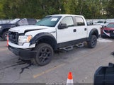 Ford F-150 Fx4/King Ranch/Lariat/Platinum/Xl/Xlt 1FTPW14V09FB36485 снимка
