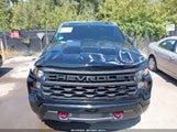 Chevrolet Silverado  4Wd Short Bed Custom Trail Boss 3GCPDCEK8RG310422 fotografie