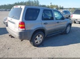 Ford Escape Xlt 1FMYU04111KE98284 снимка