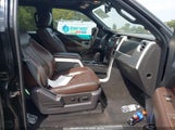 Ford F-150 Fx4/King Ranch/Lariat/Platinum/Xl/Xlt 1FTPW14V39FA62186 photo