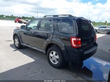 Ford Escape Xlt 1FMCU0DG8BKA66369 снимка