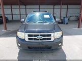 Ford Escape Xlt 1FMCU0DG8BKA66369 fotografie