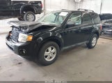 Ford Escape Xlt 1FMCU0DG4BKC14128 снимка