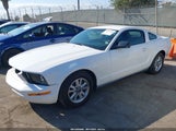 Ford Mustang V6 1ZVFT80NX65154834 снимка