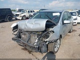 Miniaturka zdjęcia 2