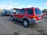 Ford Escape Xlt 1FMYU03141KF21168 снимка