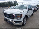 Ford F-150 Xlt 1FTEW1C59PKD23818 снимка