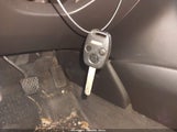 Miniaturka zdjęcia 11