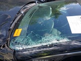 Chevrolet Impala Lt 2G1WB5EK7B1323487 снимка
