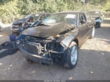 Dodge Charger Rallye 2B3CA9CVXAH268459 снимка