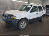 Ford Escape Xlt 1FMYU93145KD73081 снимка