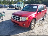 Ford Escape Xlt 1FMCU0DG7CKB51687 fotografie
