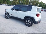 Jeep Renegade Trailhawk 4X4 ZACNJBC12KPJ99808 fotografie