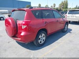 Toyota Rav4 JTMZD33V886056667 снимка