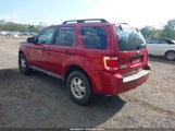 Ford Escape Xlt 1FMCU9D78AKD07463 fotografie