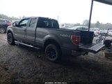 Ford F-150 Xlt 1FTFX1ET7DFD38464 fotografie