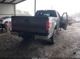 Ford F-150 Xlt 1FTFX1ET7DFD38464 fotografie