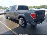 Ford F-150 Xl 1FTEW1CWXAFB65546 снимка