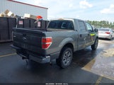 Ford F-150 Xl 1FTEW1CWXAFB65546 снимка