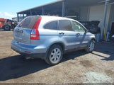 Honda Cr-V Se 5J6RE3H42BL018786 снимка